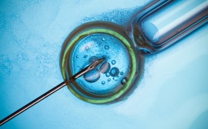 Fertilización In Vitro (FIV)