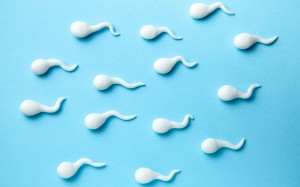 Donación de Semen